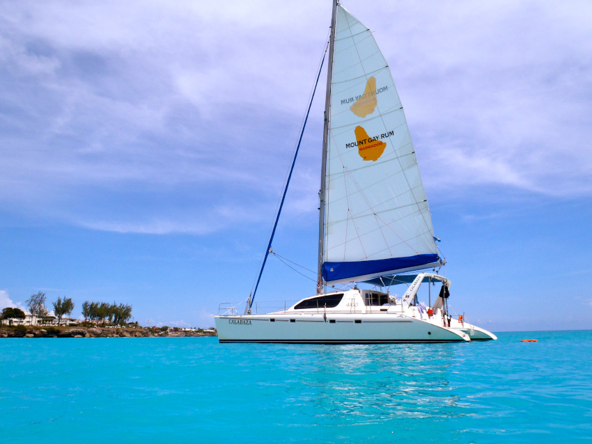 Dream Catamaran | OnBoat Inc