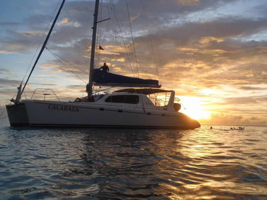 Dream Catamaran | OnBoat Inc
