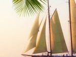 Monohull sailboat Yacht Rental in Key West