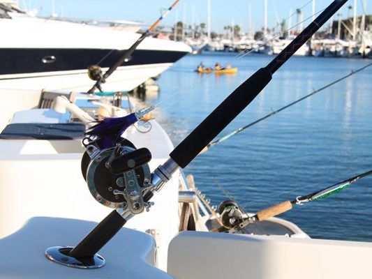 Private Yacht Charter Marina del Rey