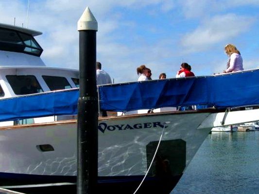 Berkeley Yacht Rentals